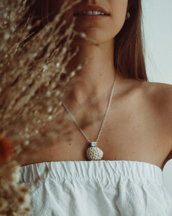 img_categoria_accesorios